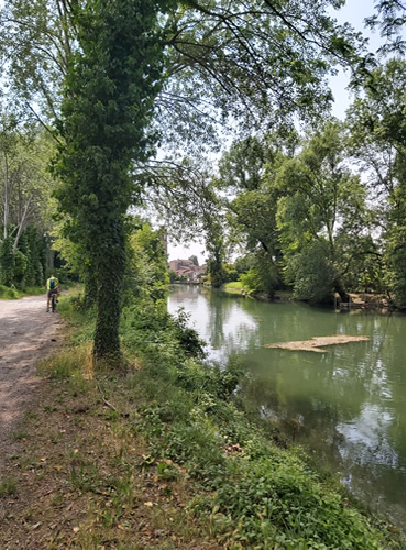torrente